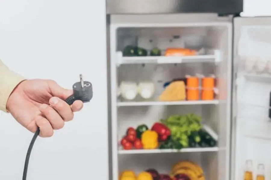 Trước khi cho thực phẩm vào cần đợi một thời gian để tủ đủ lạnh, tránh tình trạng hư hỏng thực phẩm.