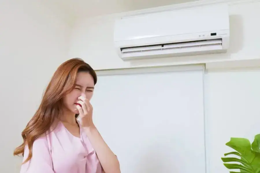 Mùi hôi thoát ra khi máy lạnh đang hoạt động.