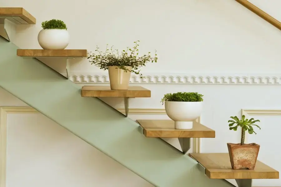 Mỗi bước đi là một loại cây xanh khác nhau