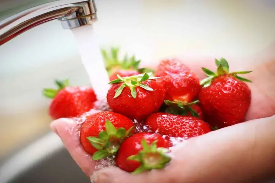 Rửa sạch nguyên liệu rồi cắt miếng nhỏ
