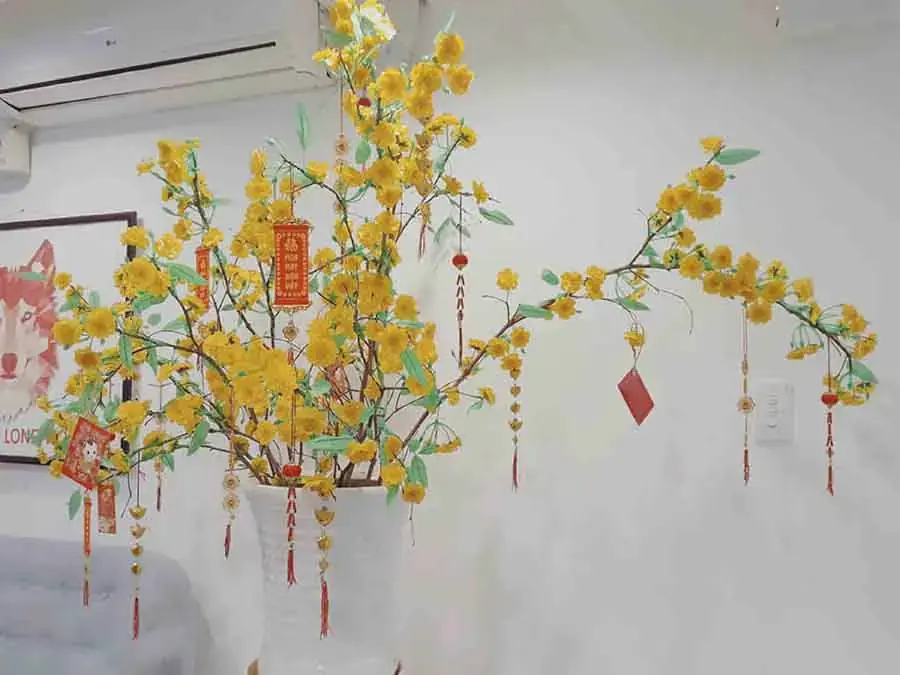 Cây mai, cây đào là biểu tượng tiêu biểu cho ngày Tết của hai miền; rất thích hợp để chưng Tết cho văn phòng.