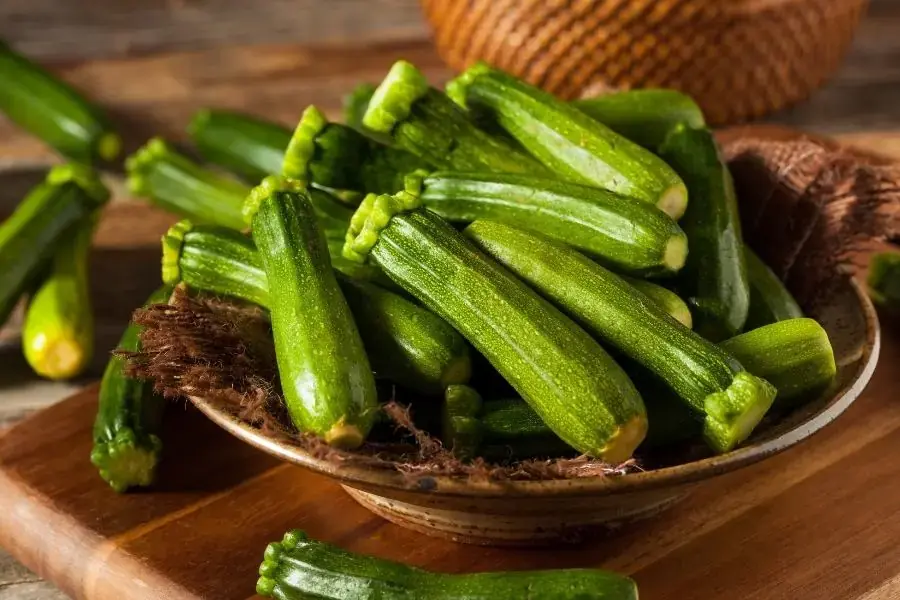 Bí ngòi còn gọi là bí xanh, một loại bí mùa hè