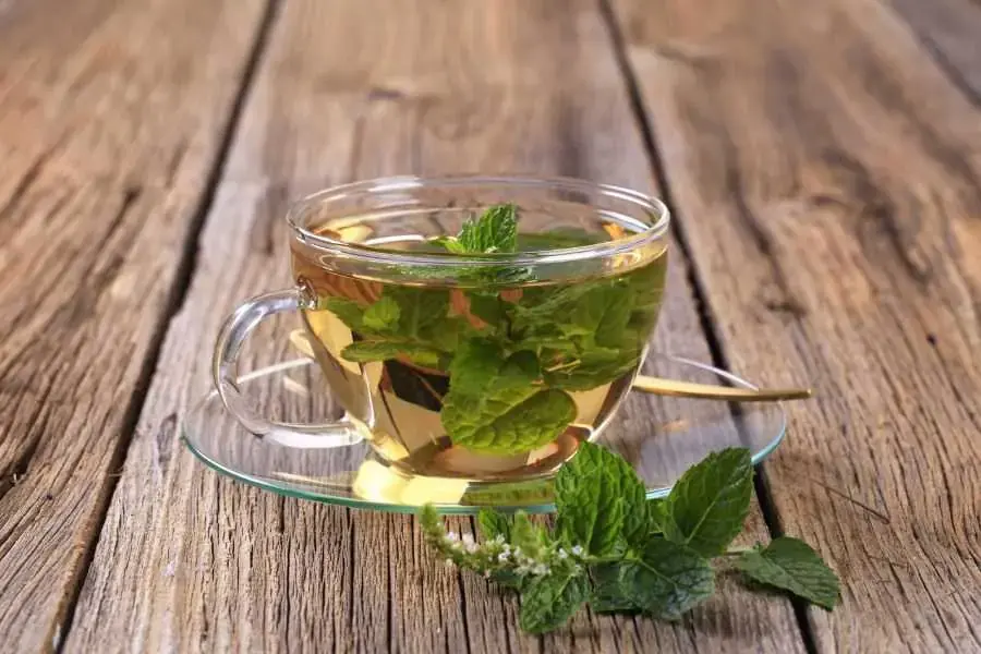 Trà xanh bạc hà ít calo, giúp tinh thần thư giãn nhẹ nhàng
