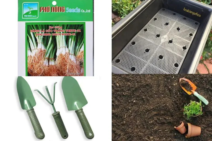 Chuẩn bị dụng cụ để tiến hành trồng hành lá