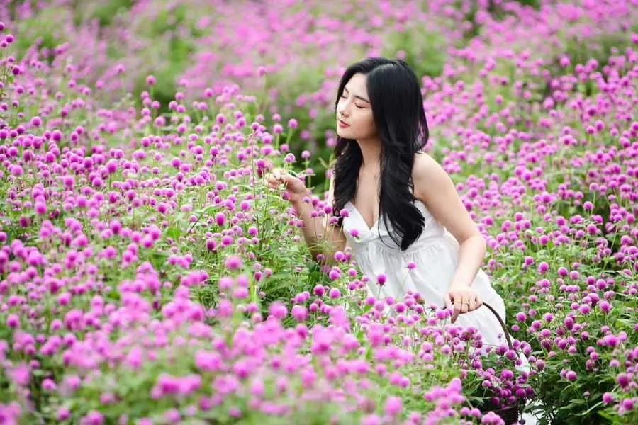 Vườn hoa Nhật Tân ngát hương với đa dạng các loại hoa.