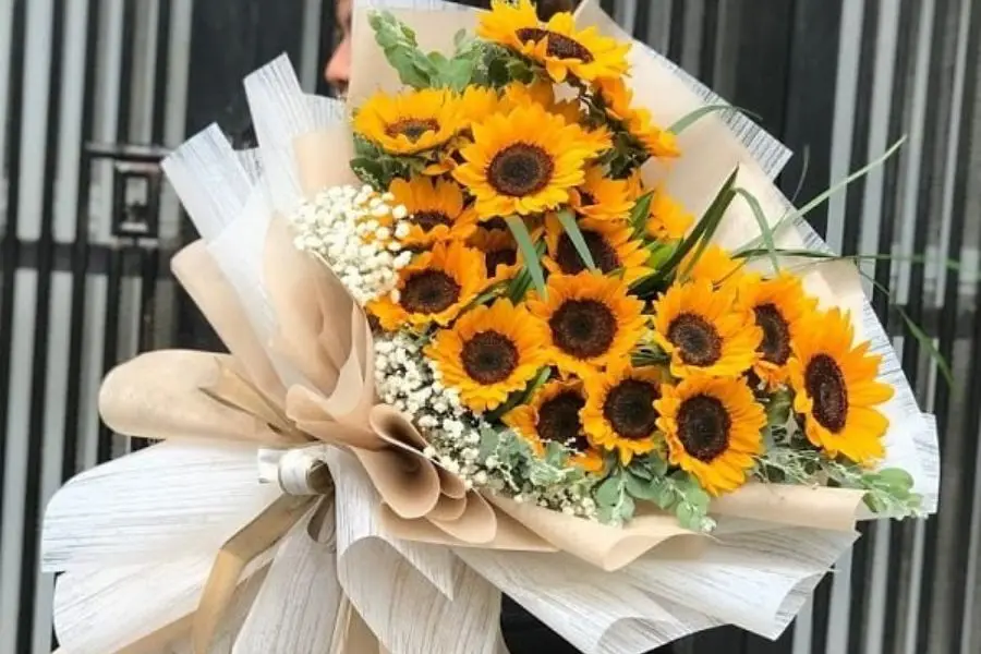 Hoa hướng dương mang nhiều ý nghĩa tích cực trong cuộc sống.
