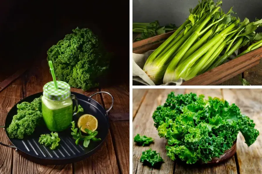 Ly nước cần tây, cải xoăn bổ sung nhiều chất xơ cho cơ thể