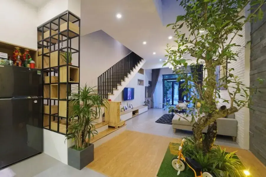 Cây xanh trồng trong nhà giúp thanh lọc không khí và làm mát không gian