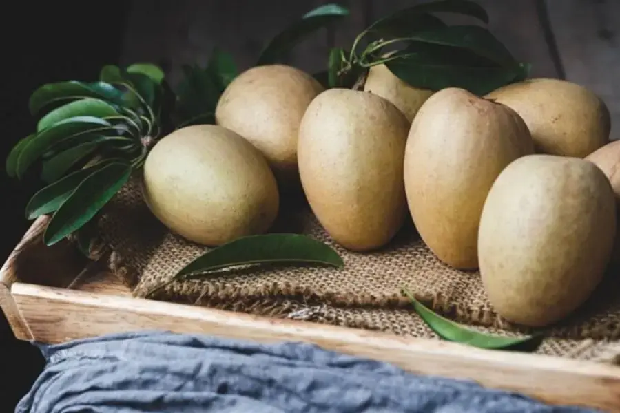Hồng xiêm có nguồn gốc ở Nam Mỹ