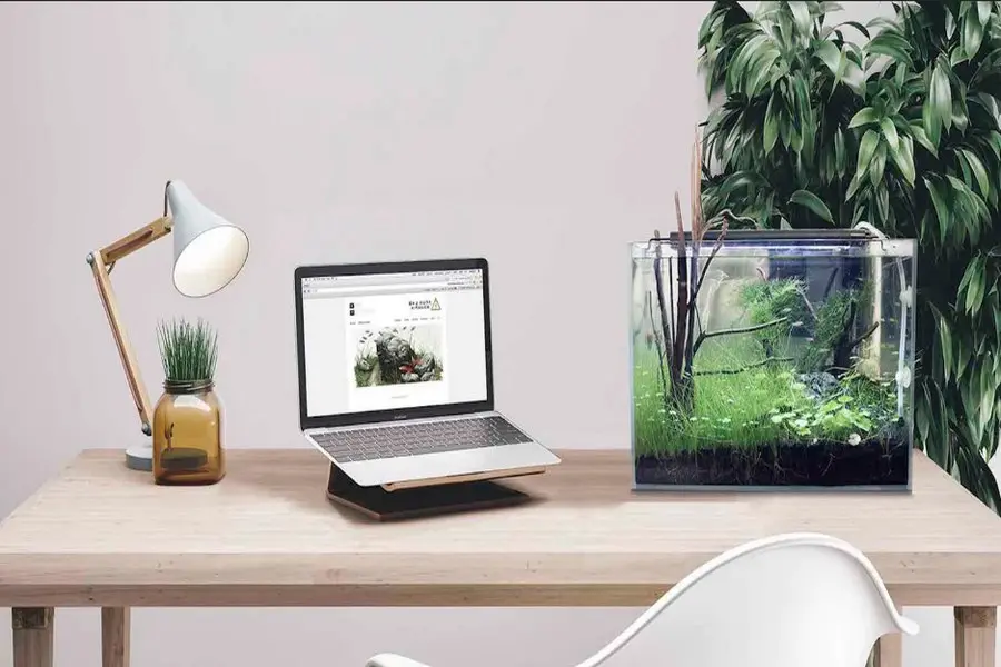 Đặt bể cá cảnh mini trên bàn làm việc