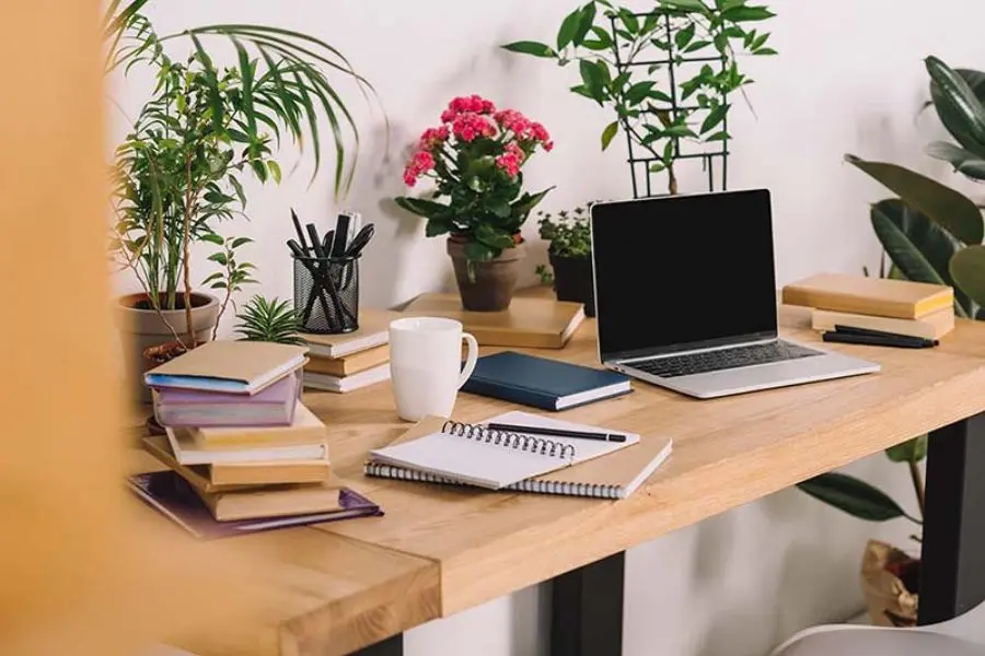 Trang trí bàn học với cây xanh giúp không gian tươi mới hơn.