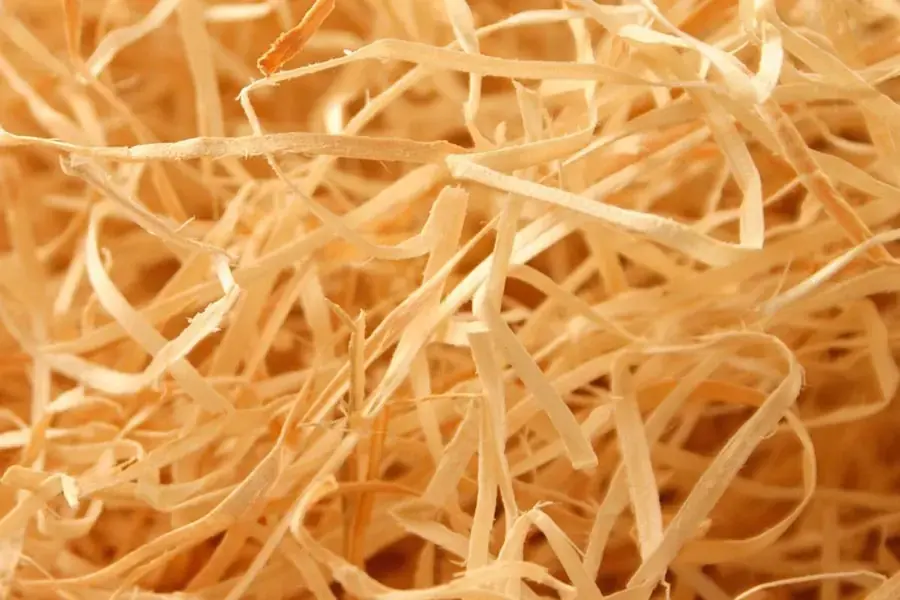 Gỗ được cấu tạo từ những màng cellulose (nguồn: woodlen.com.vn)