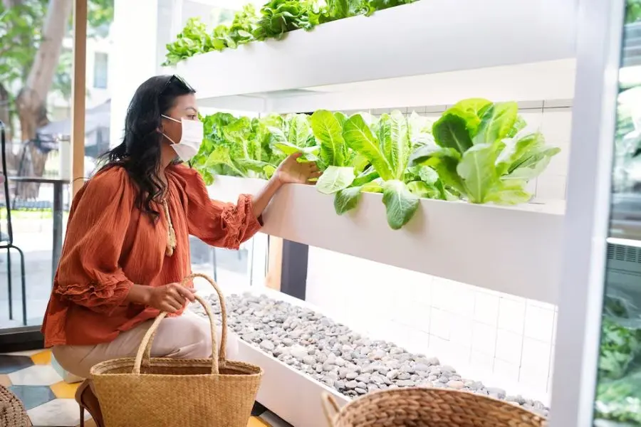 Nên chọn cây trồng ban công có kích thước vừa hoặc nhỏ, chịu nắng tốt.