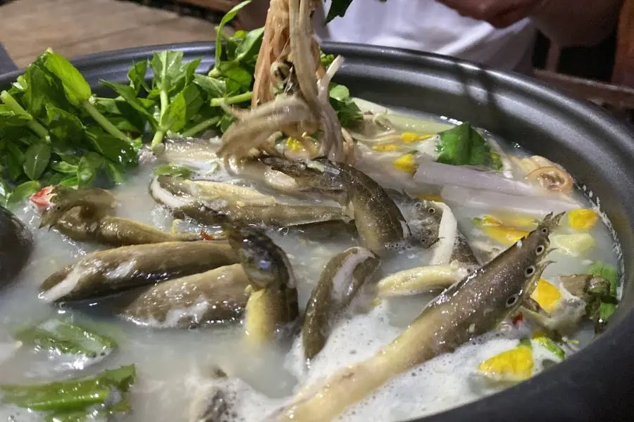 Lẩu cá chạch nóng hổi, thơm lừng, hòa quyện đủ gia vị chua cay, ngọt mặn.