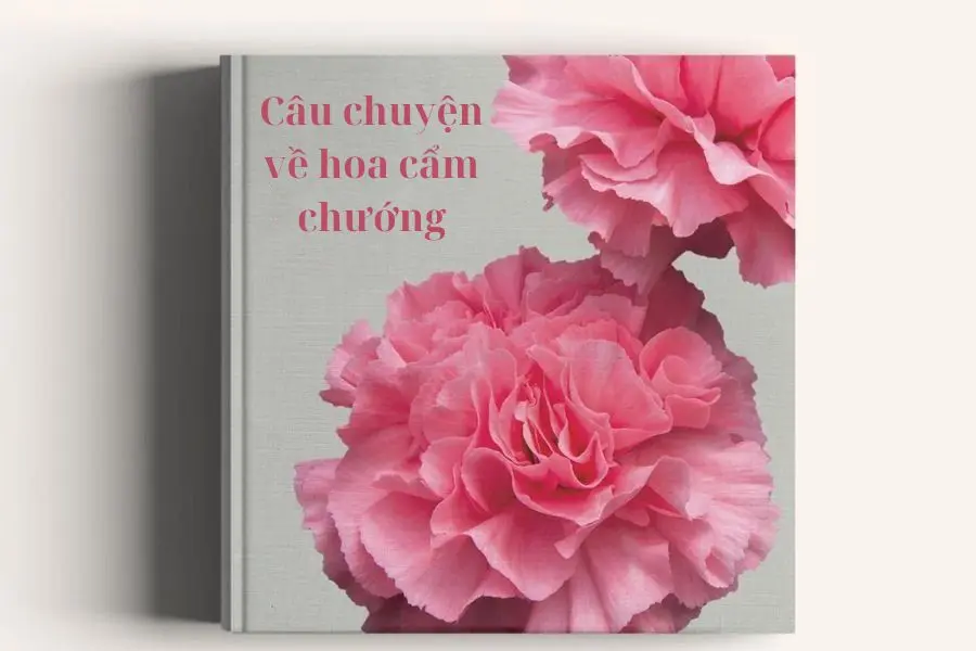 Hoa cẩm chướng có hẳn một sự tích riêng.