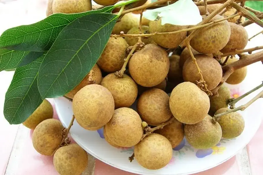 Cách sử dụng nhãn đúng cách