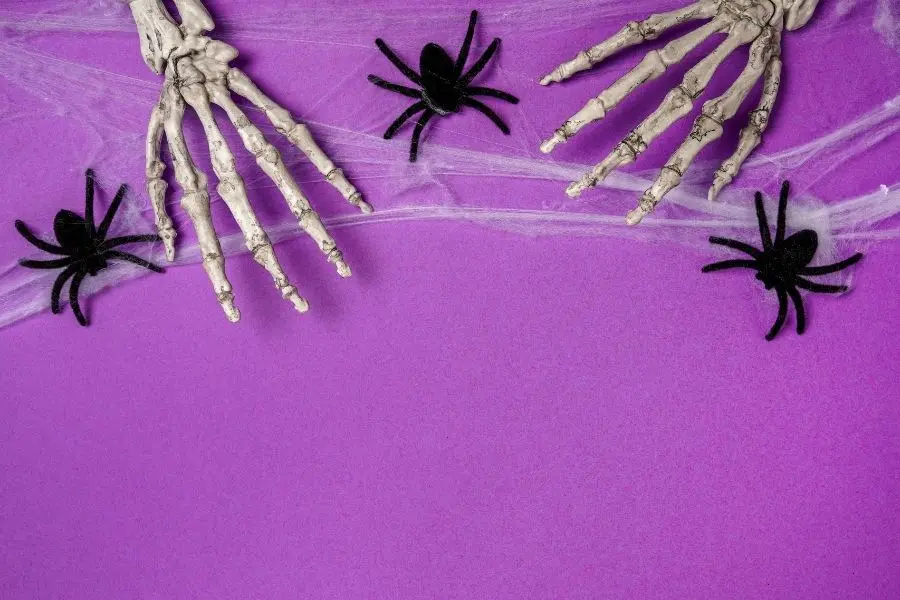 Kết hợp nhện, màng nhện và bộ xương bàn tay để trang trí Halloween cho quán cafe thêm độc đáo.