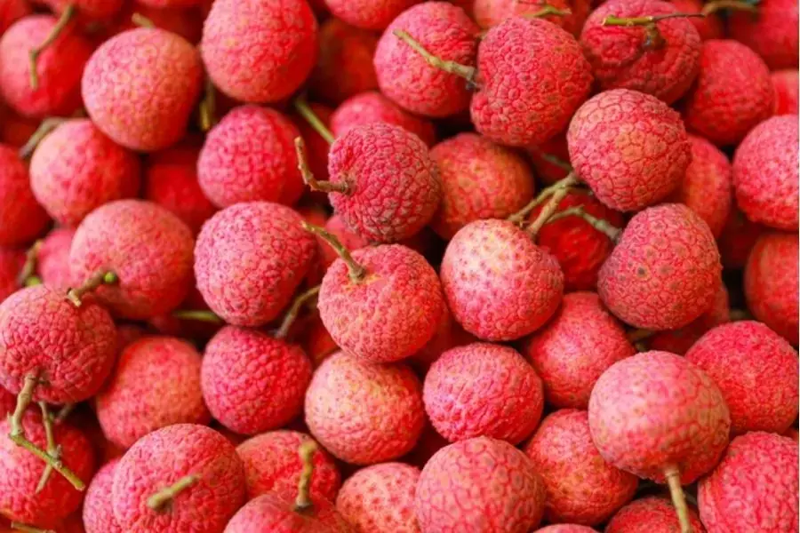 Vỏ vải thiều hồng đỏ