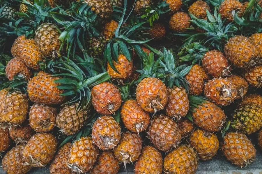 Hợp chất bromelain trong dứa có tác dụng hỗ trợ giảm viêm xương khớp.