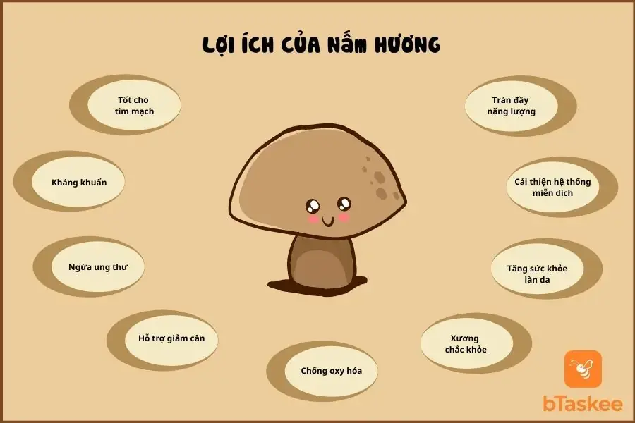 Lợi ích của nấm hương