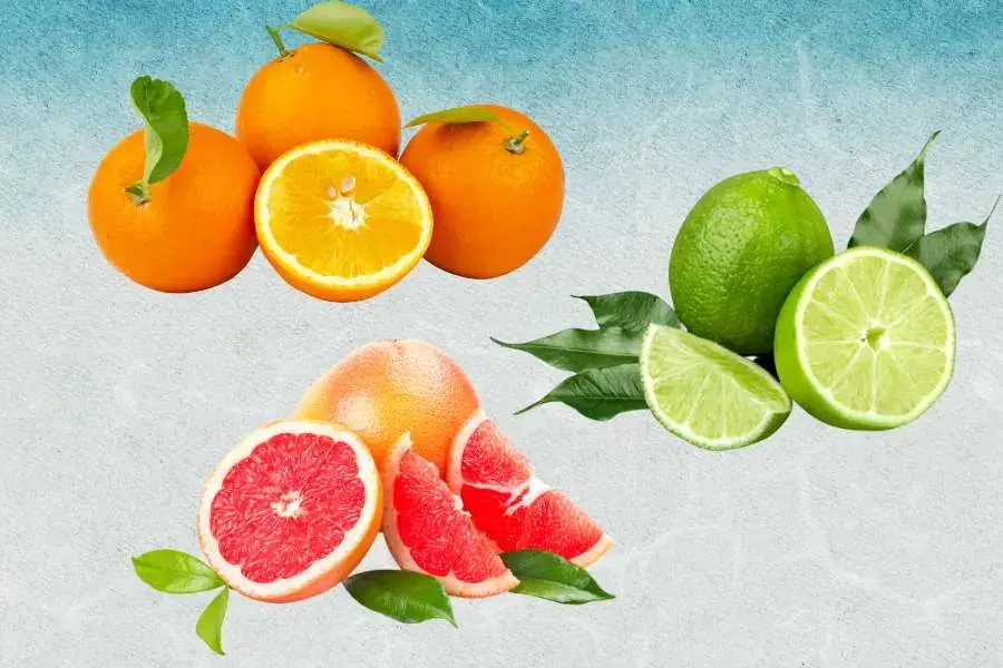 Cam, chanh, bưởi hỗ trợ giảm cân, bổ sung vitamin
