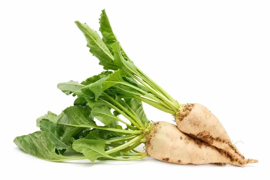 Ăn củ cải đường hỗ trợ mát gan, giải độc