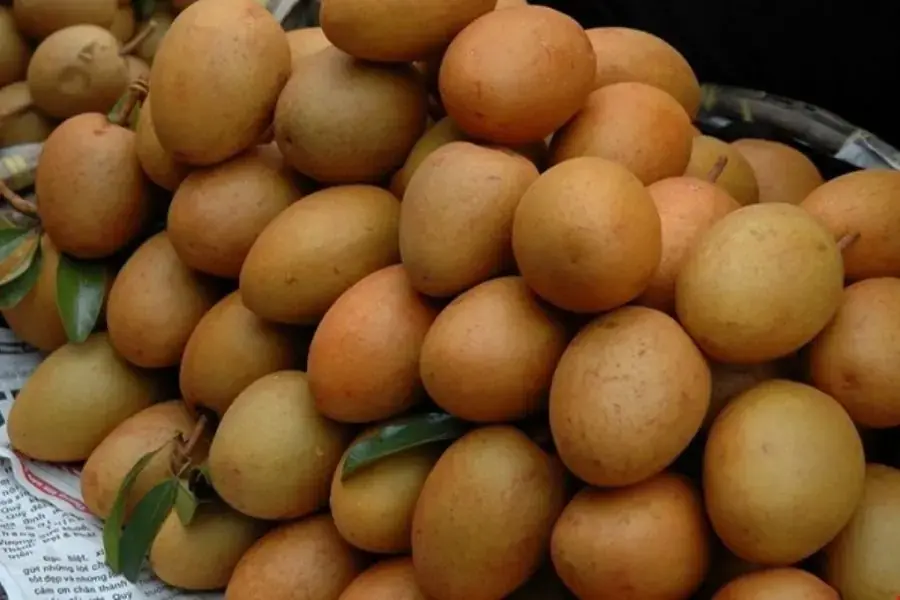 Quả hồng xiêm