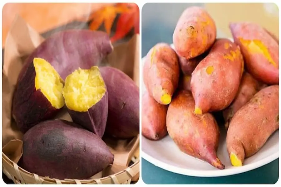 Ăn khoai lang vào thời điểm nào là phù hợp.
