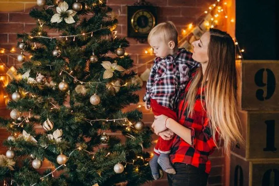 Trang trí noel quán cafe với cây thông mini