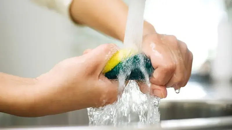 Vệ sinh bọt rửa chén thường xuyên để hạn chế vi khuẩn bám lại (nguồn: trithucvn.org)
