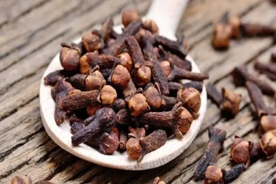 Mùi đinh hương đuổi chuột trên trần nhà hiệu quả