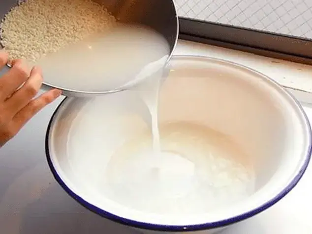 Nước vo gạo là chất tẩy rửa ít tốn kém nhất (Ảnh: Webtretho)