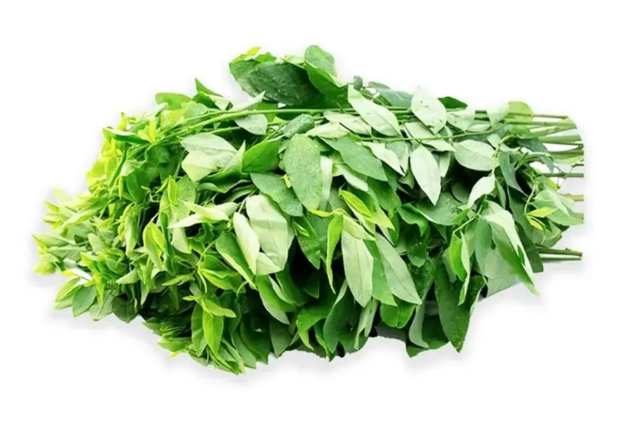 Rau ngót ( nguồn: Minh Cầu Mart)