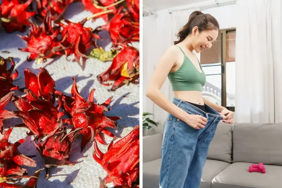 Atiso đỏ giàu vitamin C, hỗ trợ giảm cân hiệu quả.
