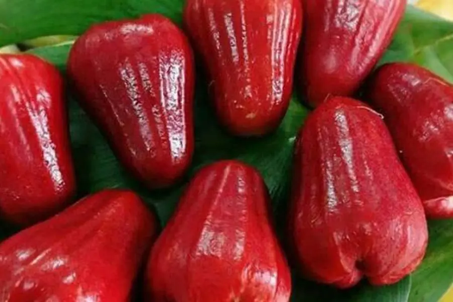Roi/mận là một loại quả giàu canxi, vitamin tốt cho sức khỏe.
