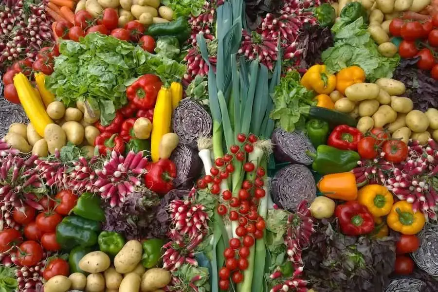 Hàm lượng chất xơ cao có trong rau xanh