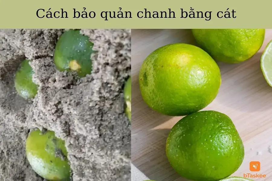 Bảo quản chanh trong thùng cát