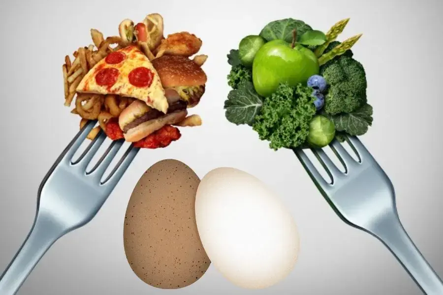 Trứng gà ngon nhưng cũng rất dễ gây ngán, đặc biệt là lòng đỏ trứng