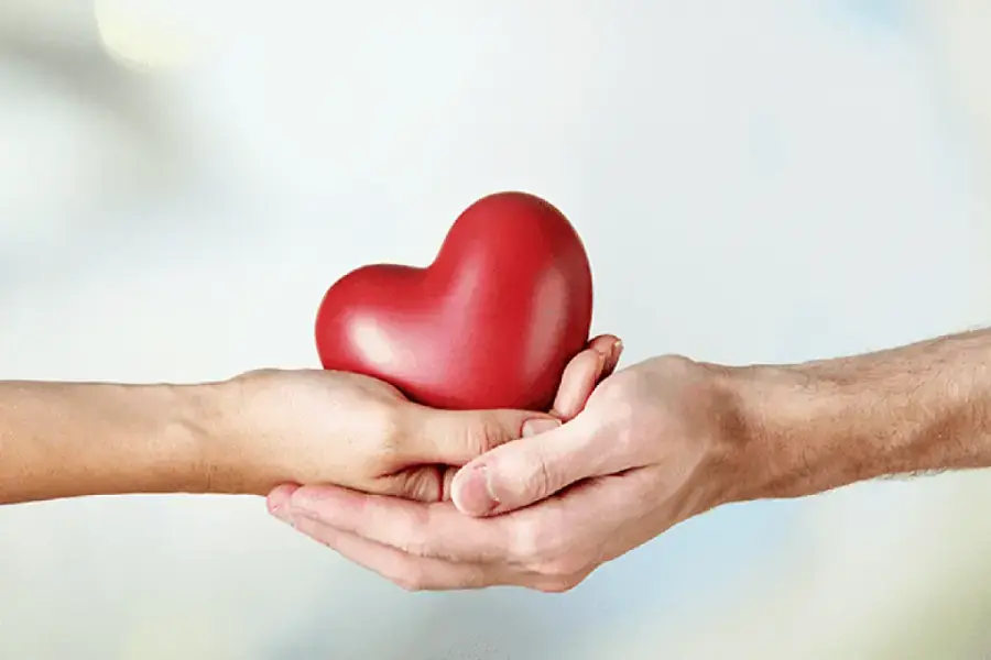 Thúc đẩy sức khỏe tim mạch bằng nấm bào ngư