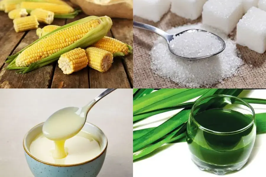 Chọn trái bắp nếp mới bẻ sẽ có vị ngọt và thơm hơn.