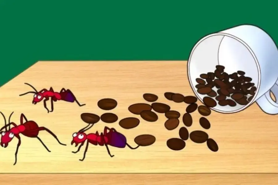Đuổi côn trùng