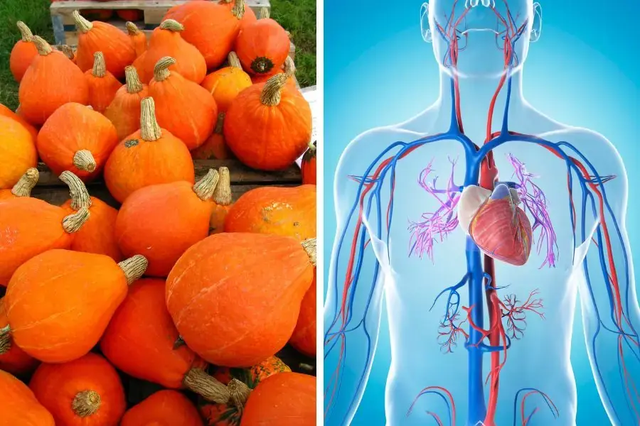 Bí đỏ chứa nhiều chất dinh dưỡng có thể cải thiện sức khỏe tim mạch.