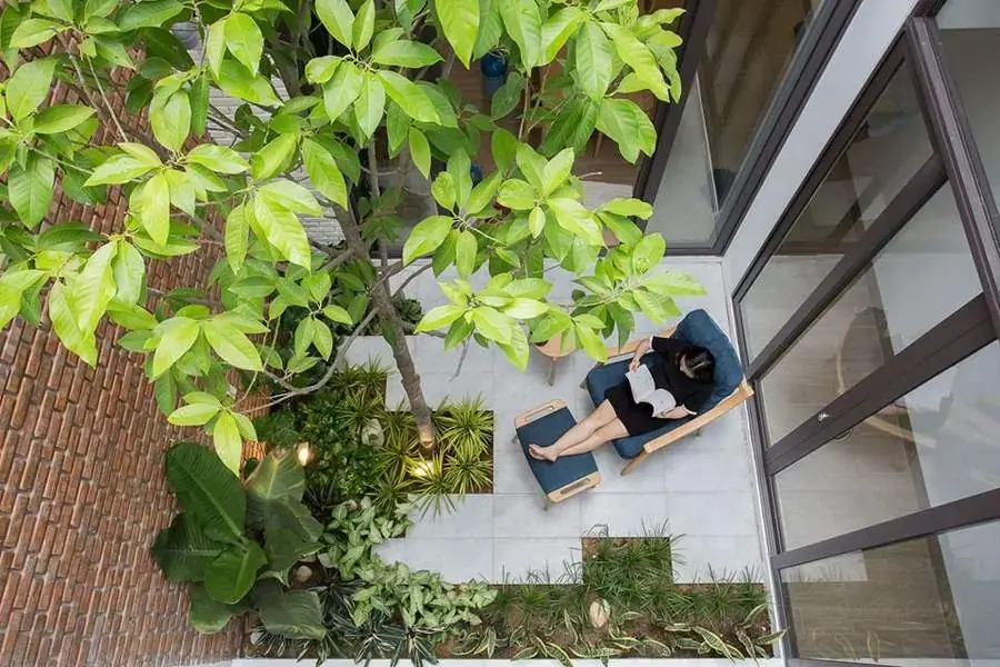 Thu hút không khí trong lành từ giếng trời