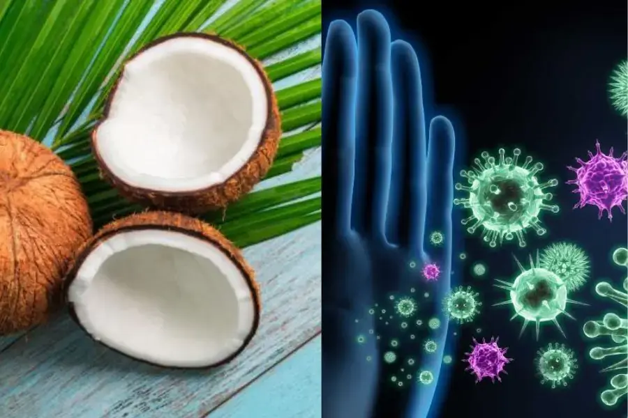 Muốn có một hệ miễn dịch hoạt động tốt đừng bỏ qua loại trái cây này nhé.