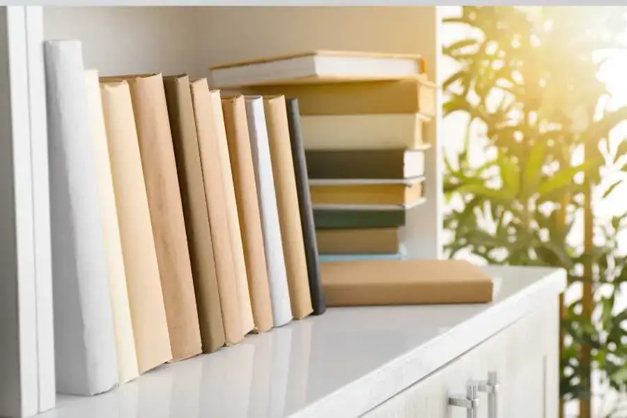 Có thể dùng các vật trang trí khi xếp sách ngang và thẳng đứng
