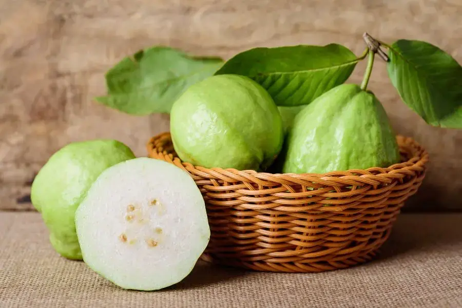Trong quả ổi có chứa nhiều chất xơ, vitamin C, giúp giảm viêm, hỗ trợ giảm cân.