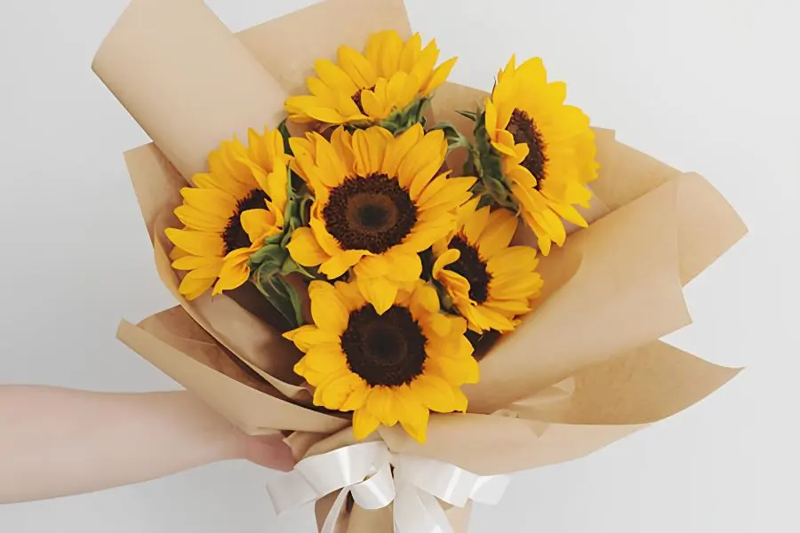 Hoa hướng dương biểu tượng của sự lạc quan và năng lượng tích cực