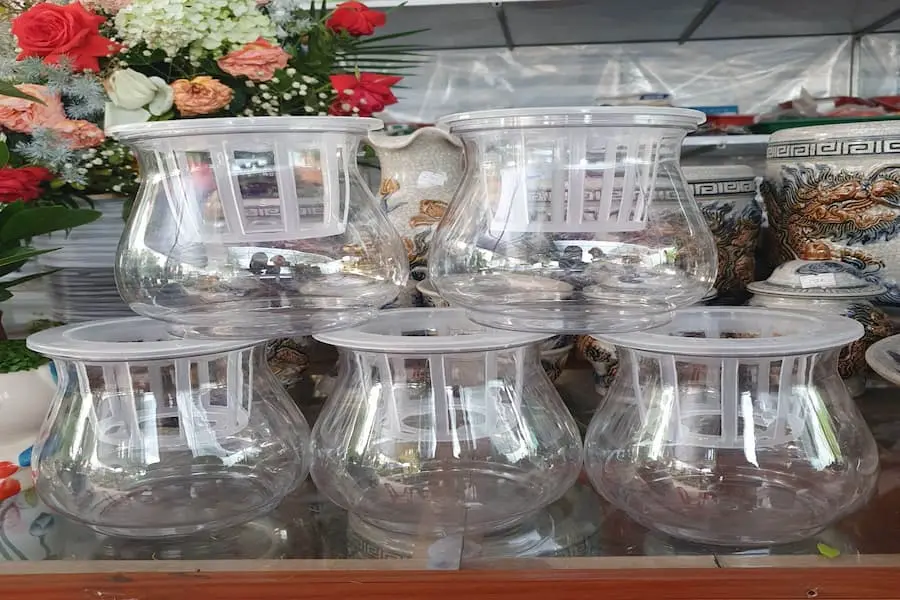 Chọn chậu hoặc hồ thuỷ sinh phù hợp với kích thước của cây.