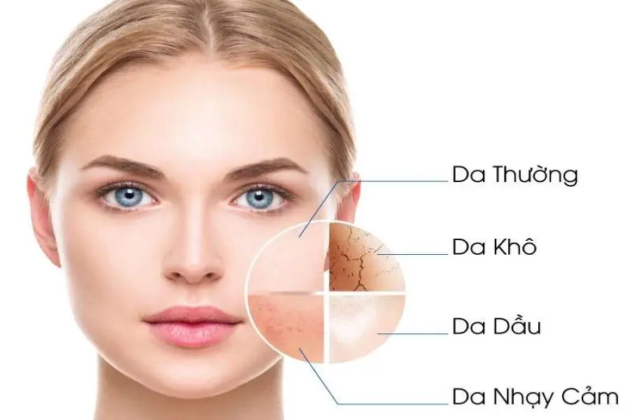 Phân biệt các loại da giúp bạn dễ dàng chọn được nước hoa hồng phù hợp