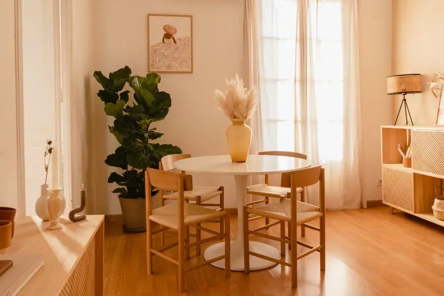 Lựa chọn các loại cây mang phong cách nhiệt đới để decor cho gian nhà